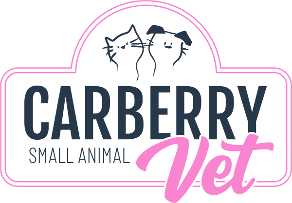 Carberry Small Animal Veterinary Clinic